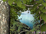 Forest World 3D Screensaver Windows 11 download