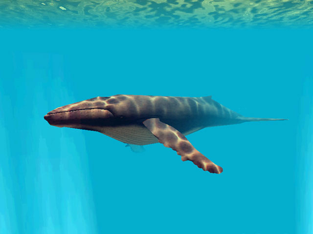 Screenshot of Underwater World 3D Screensaver