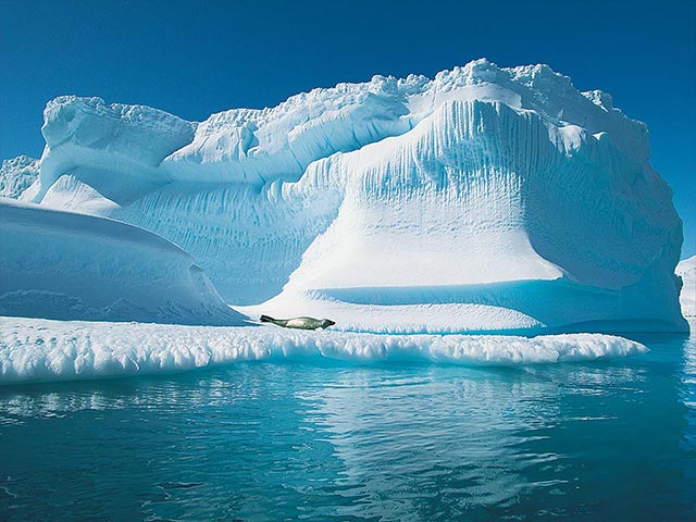 north pole 3d, screensaver, screen saver, nature, penguins, white bears, icebergs