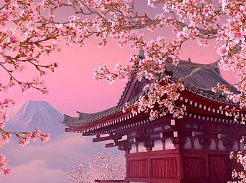 Blooming Sakura 3D imagen grande