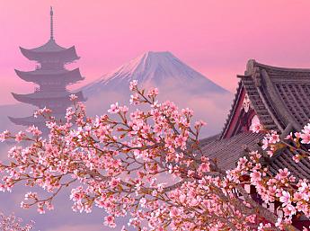 Blooming Sakura 3D imagen grande