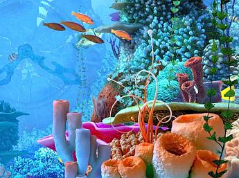 Coral Clock 3D größeres Bild