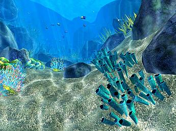 Coral World 3D Image plus grande