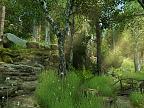 Forest Walk 3D: View larger screenshot