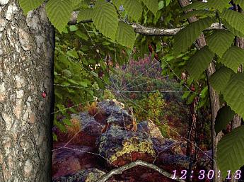 Wald Welt 3D größeres Bild