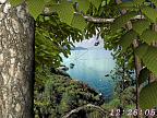 Bosques del Mundo en 3D: View larger screenshot