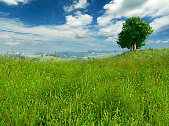 Grassland 3D play video