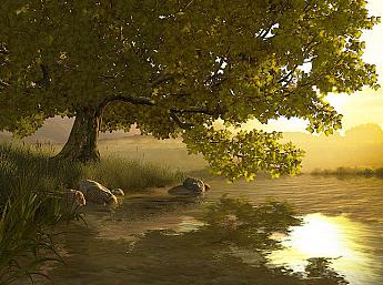 Lake Tree 3D Écran de Veille