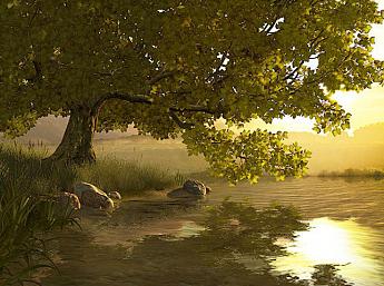 Lake Tree 3D Image plus grande
