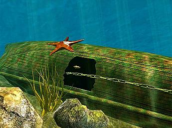 Ozean Fisch 3D größeres Bild