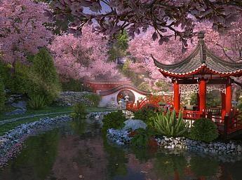 Sakura Garden 3D play video