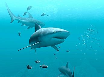 Sharks 3D imagen grande