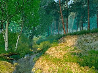 Summer Forest 3D größeres Bild