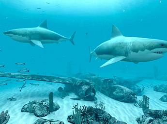 White Sharks 3D größeres Bild