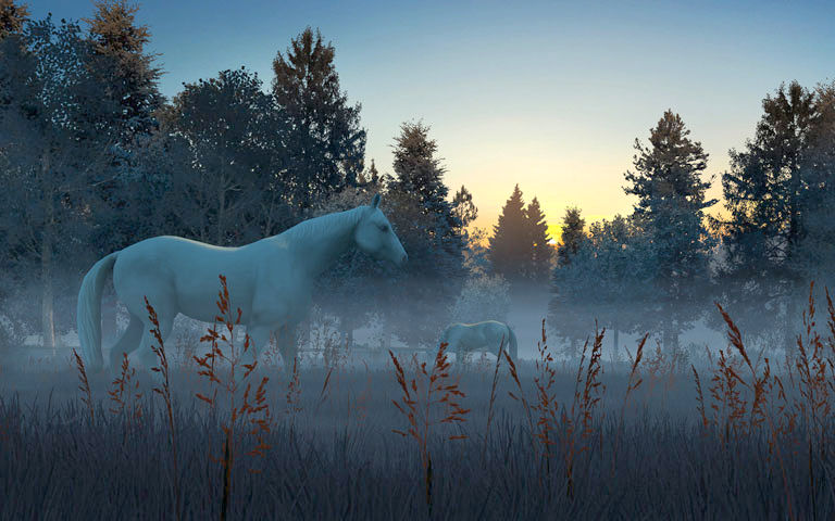 Fog Horses 3D Screensaver - Download Animated 3D Screensaver