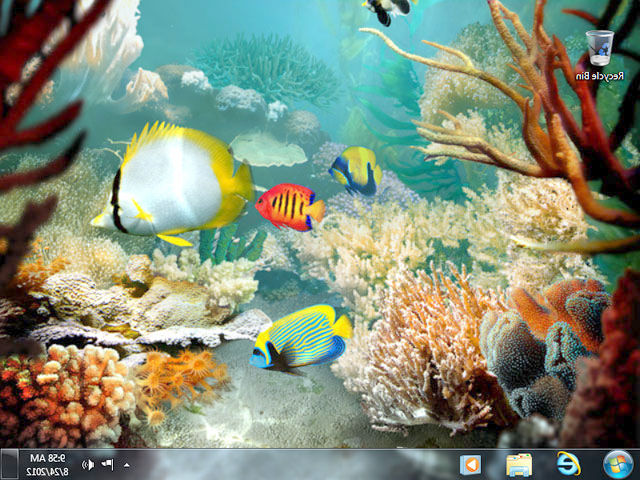 Tropical Fish 3D Screensaver - Download Animated 3D Screensaver