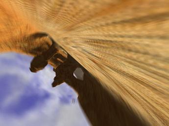 3D Schlucht Flug größeres Bild