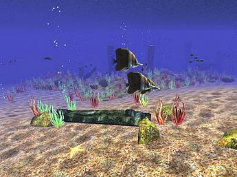 Морская Жизнь 3D увеличить