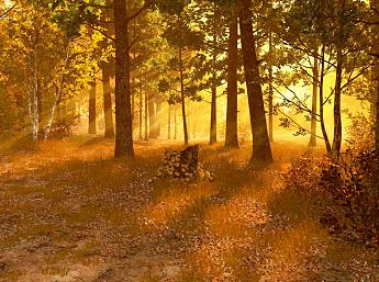 Осенний Лес 3D увеличить
