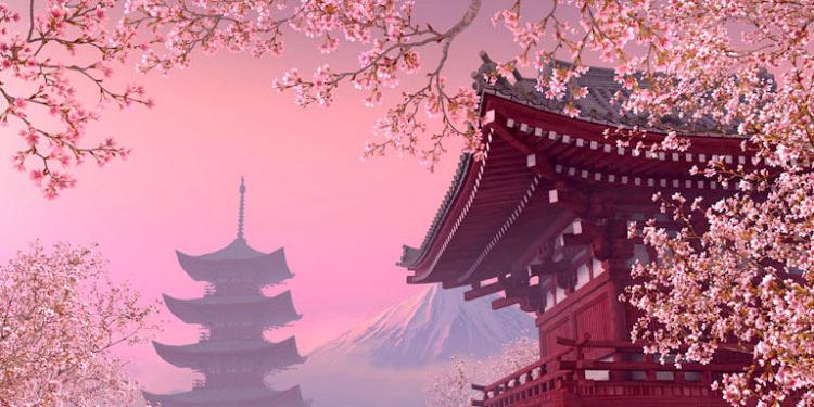 Blooming Sakura 3D