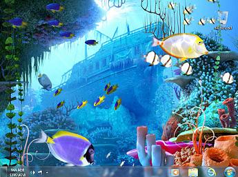 Coral Reef 3D Screensaver