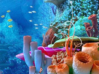 Coral Reef 3D Image plus grande