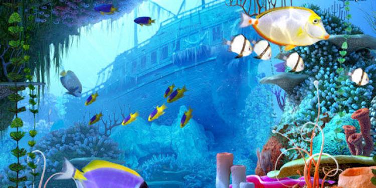 Coral Reef 3D