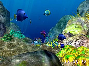 Coral World 3D Image plus grande