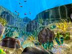 Coral World 3D: View larger screenshot