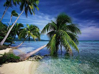 Tropische Inseln vol.1 größeres Bild