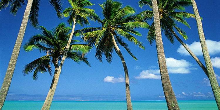 скачать приставку playstation скачать приставку playstation