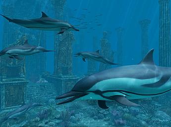 Dolphins - Atlantis 3D Bildschirmschoner