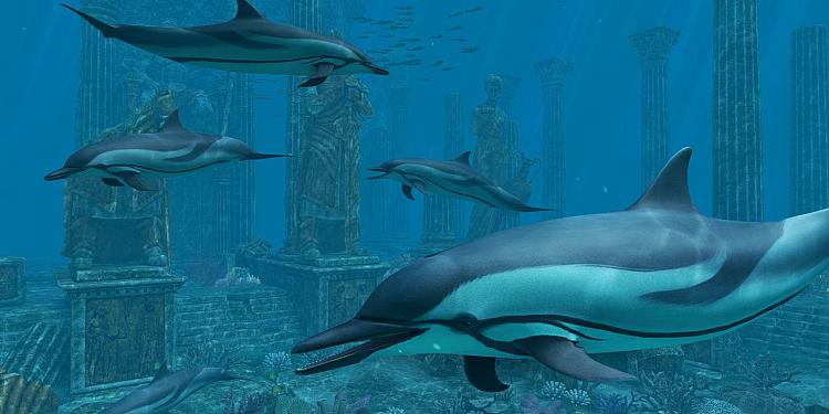 Dolphins - Atlantis 3D