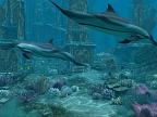 Dolphins - Atlantis 3D: View larger screenshot