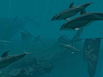 Dolphins - Pirate Reef 3D Image plus grande