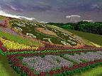 Flower Hill 3D: View larger screenshot