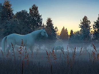 Fog Horses 3D Bildschirmschoner