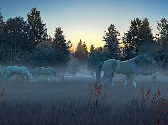 Лошади в Тумане 3D увеличить