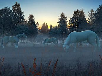 Fog Horses 3D Image plus grande