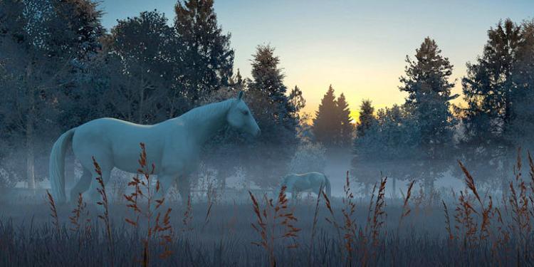 Fog Horses 3D