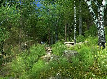 Forest Walk 3D Image plus grande