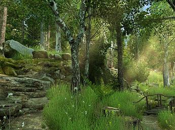 Forest Walk 3D Image plus grande