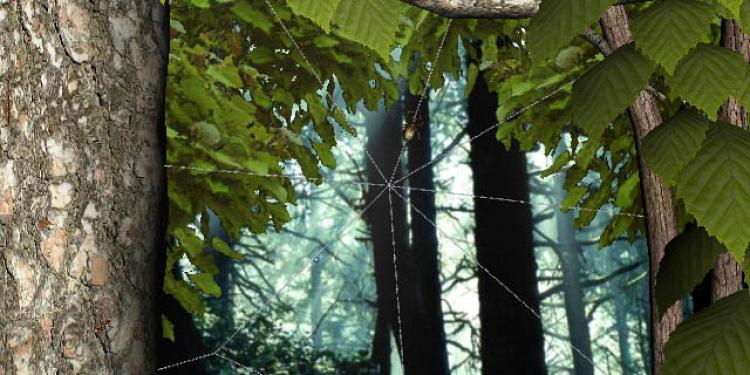 Wald Welt 3D