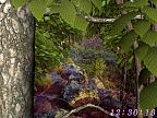 Univers Forestier 3D: View larger screenshot