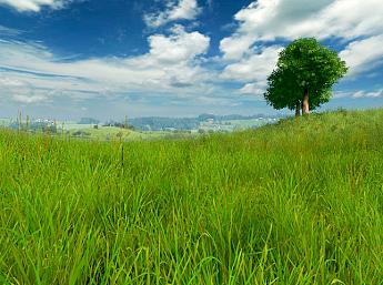 Grassland 3D Écran de Veille