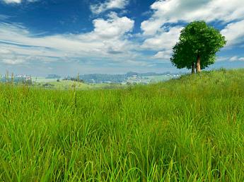 Grassland 3D larger image