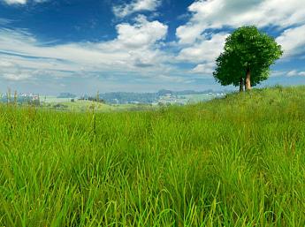 Grassland 3D Image plus grande