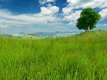 Grassland 3D imagen grande