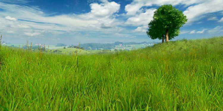 Grassland 3D