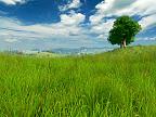 Grassland 3D: View larger screenshot